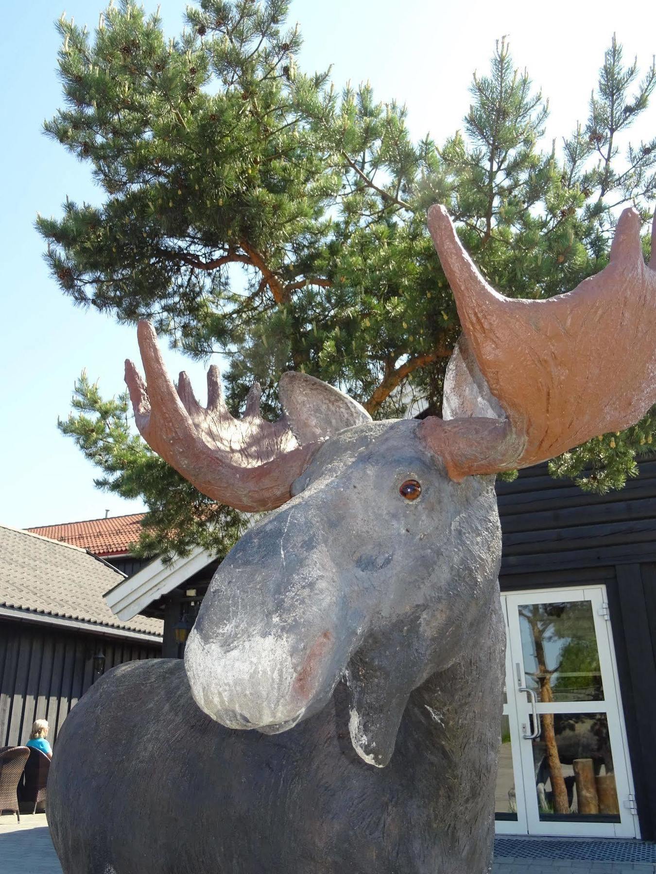 Thon Partner Elgstua Hotel Elverum Exterior foto